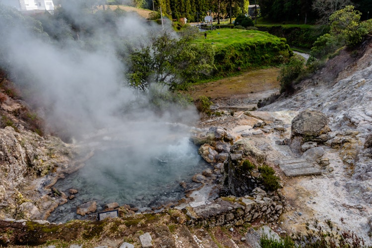 Dampende varme kilder omgivet af frodig skov i Furnas på Sao Miguel-øen, Azorerne, Portugal