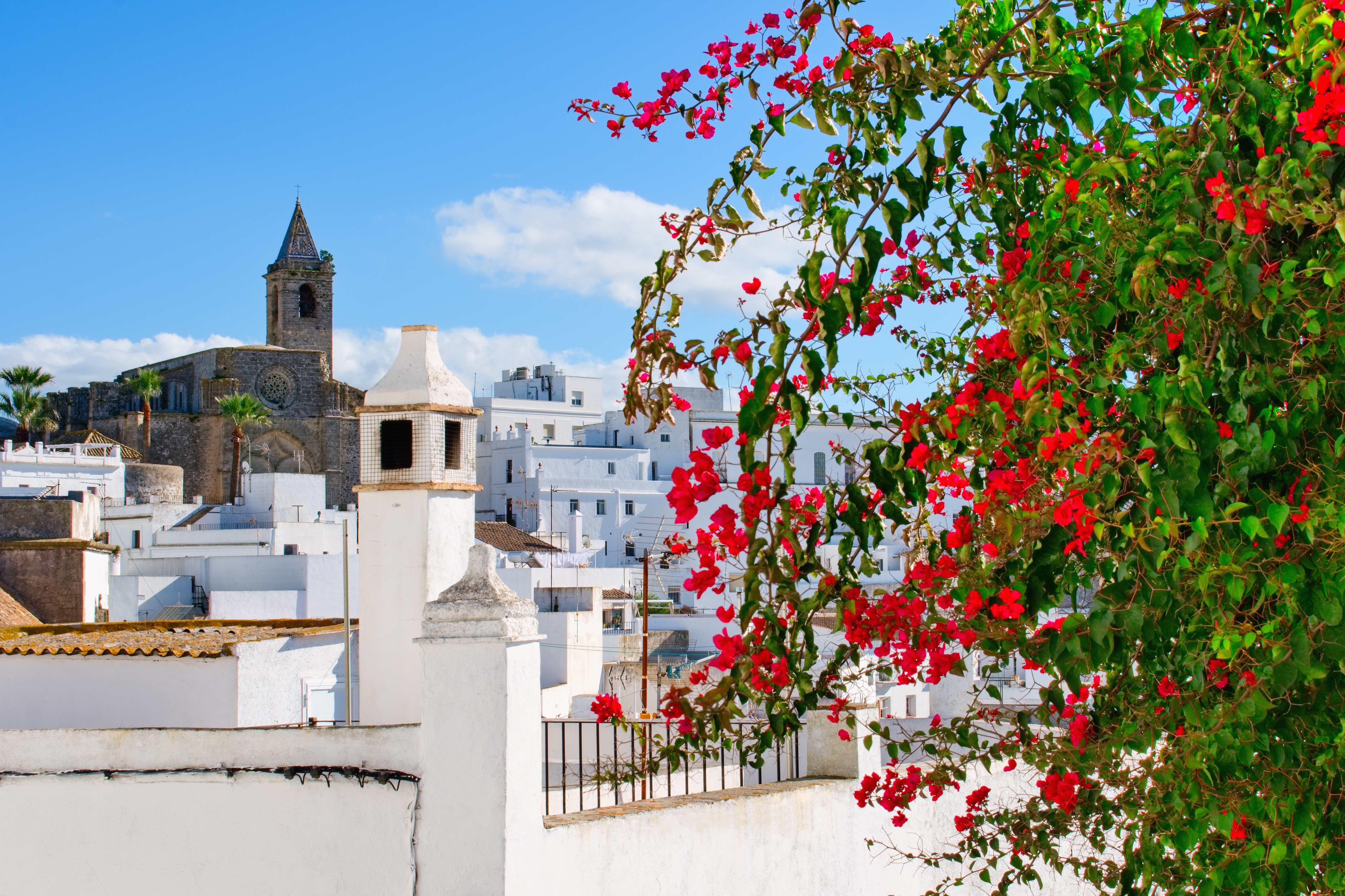 Historiske hvide bygninger i Vejer de la Frontera med kirketårn og blomstrende bougainvillea i Andalusien, Spanien