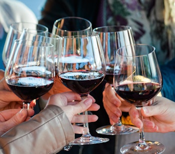 Gruppe af venner der skåler med rødvin i Toscana, Italien. Festlig stemning under vinsmagning på en social rejseoplevelse i det italienske vinland.