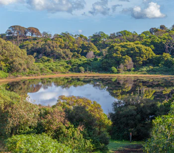 Naturskøn kraterlund omgivet af frodig grøn skov i Victoria Australien