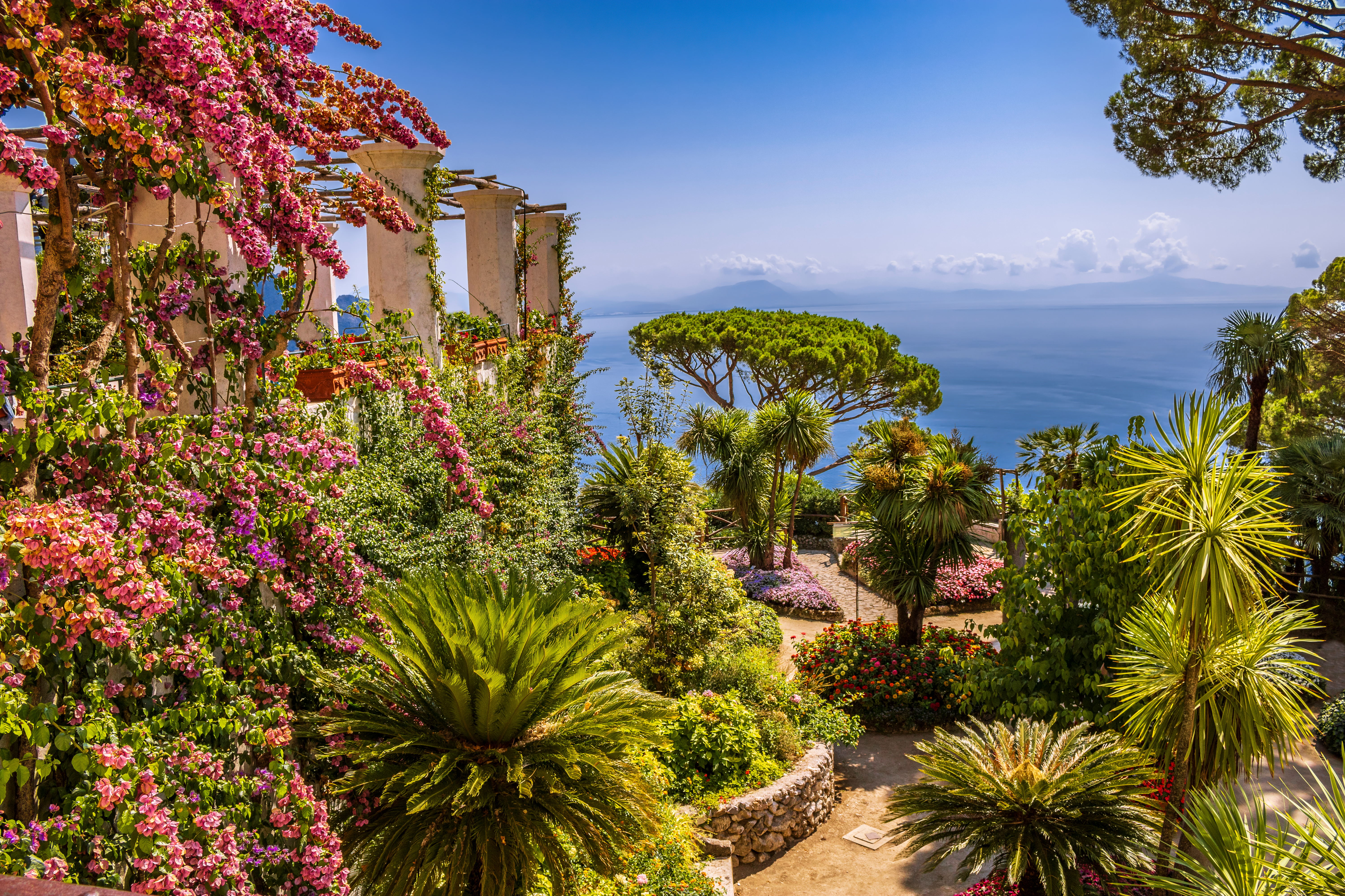 Farverig og frodig have ved Villa Rufolo i Ravello på Amalfkysten i Italien med lyserød bougainvillea og udsigt over Middelhavet