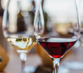 Elegante vinglas med rød og hvid vin under vinsmagning på portugisisk vingård i Alentejo