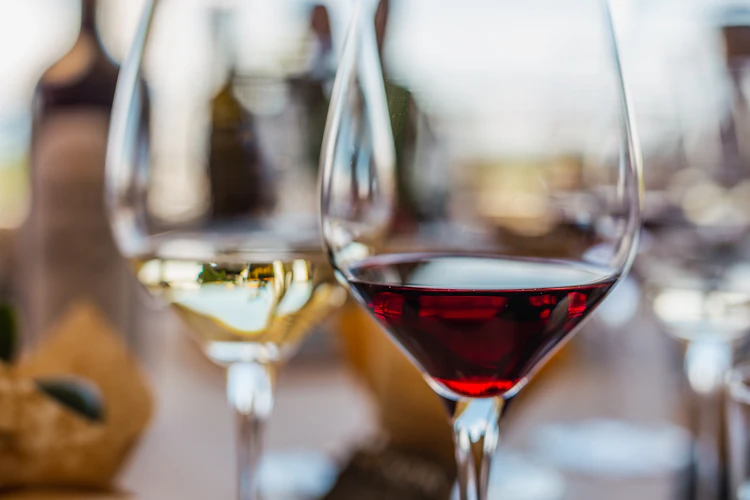 Elegante vinglas med rød og hvid vin under vinsmagning på portugisisk vingård i Alentejo