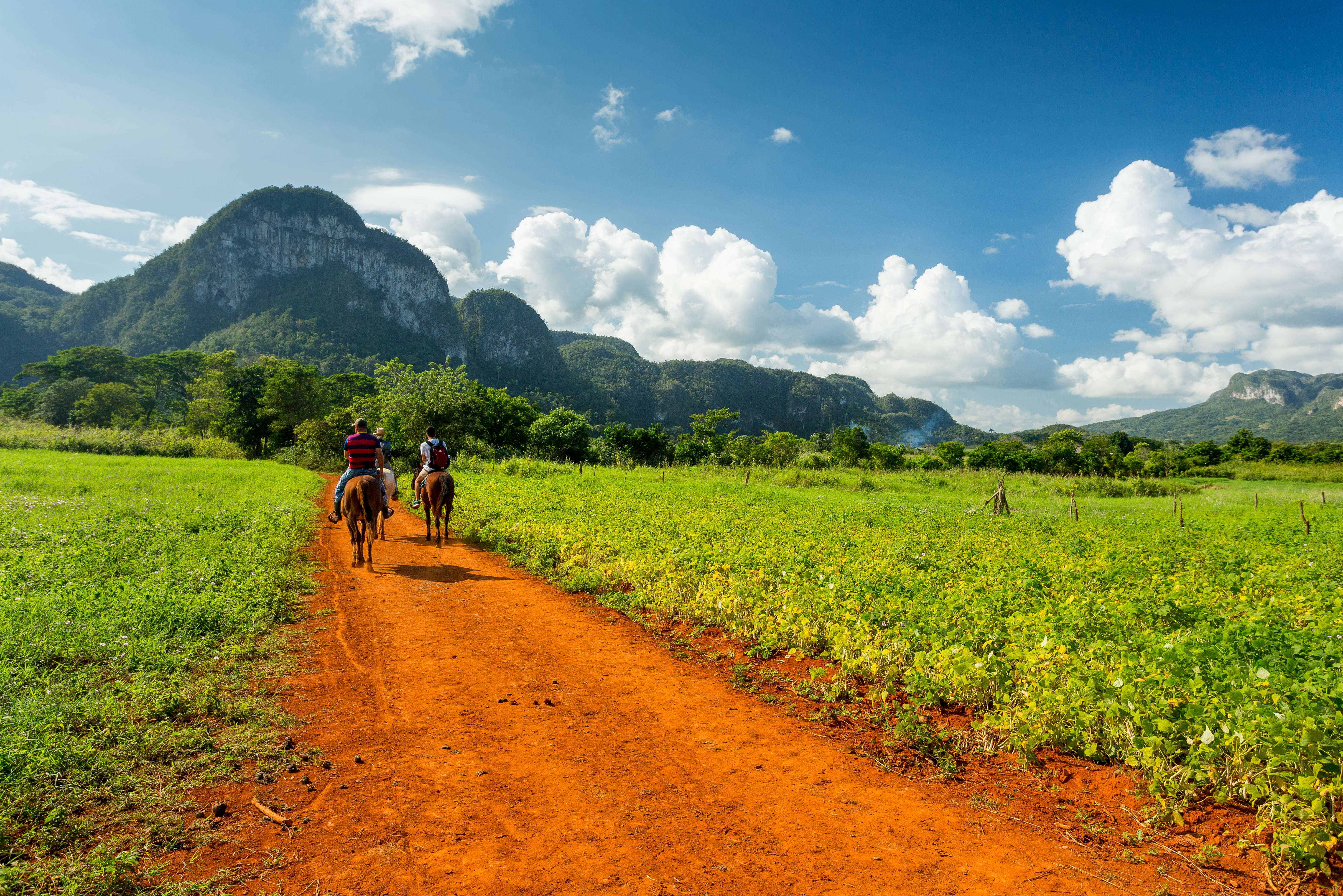 Ridetur gennem tobaksmarker i Vinales-dalen på Cuba med kalkstensbjergene