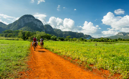 Ridetur gennem tobaksmarker i Vinales-dalen på Cuba med kalkstensbjergene