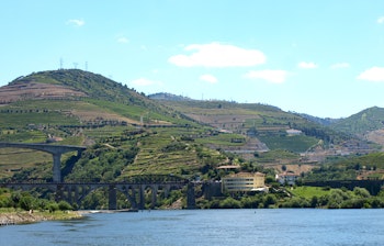Idylliske vingårde med terrasserede vinmarker langs Douro-floden i Portugal, kendt for produktion af portvin og skønne rødvine