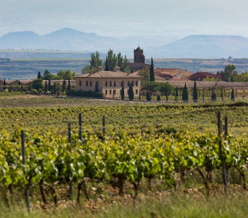 Idyllisk vinmark i La Rioja, Spanien, der viser traditionel spansk vinavl.