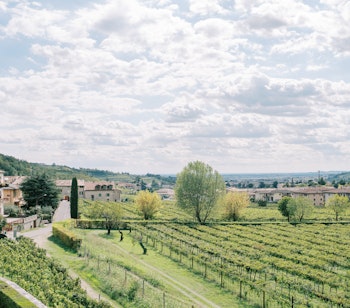 Vinmarker i Negrar Valpolicella med gamle palæer og grønne vinmarker under en solrig himmel i Verona, Italien.