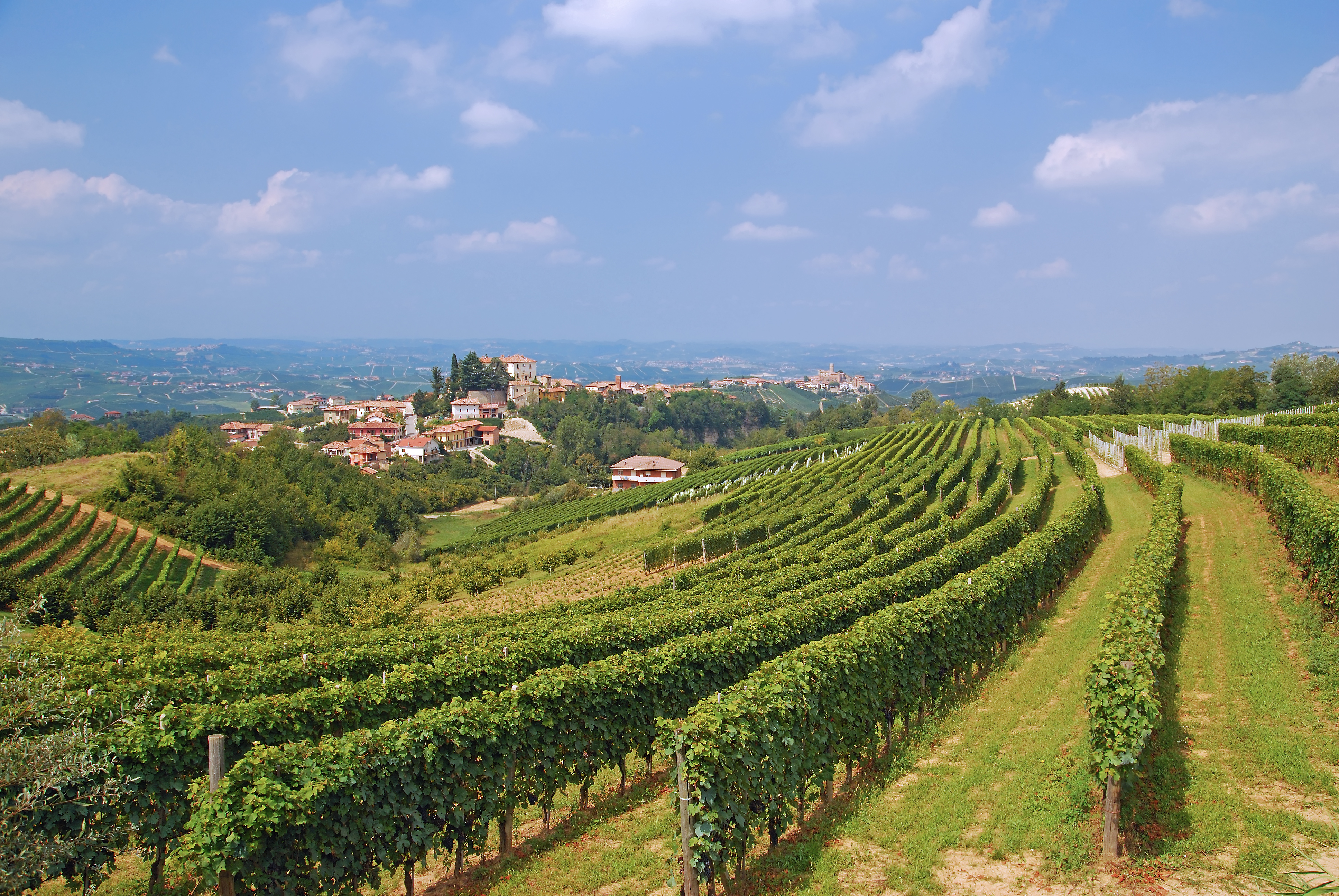 Smukke grønne vinmarker i Piedmont nær Asti i Italien med en charmerende landsby på bakketoppen i baggrunden