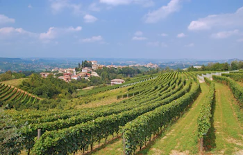 Smukke grønne vinmarker i Piedmont nær Asti i Italien med en charmerende landsby på bakketoppen i baggrunden