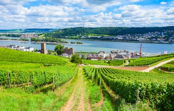 Luftpanorama af grønne vinmarker ved Rudesheim am Rhein og Bingen am Rhein i den maleriske Rhindal i Tyskland