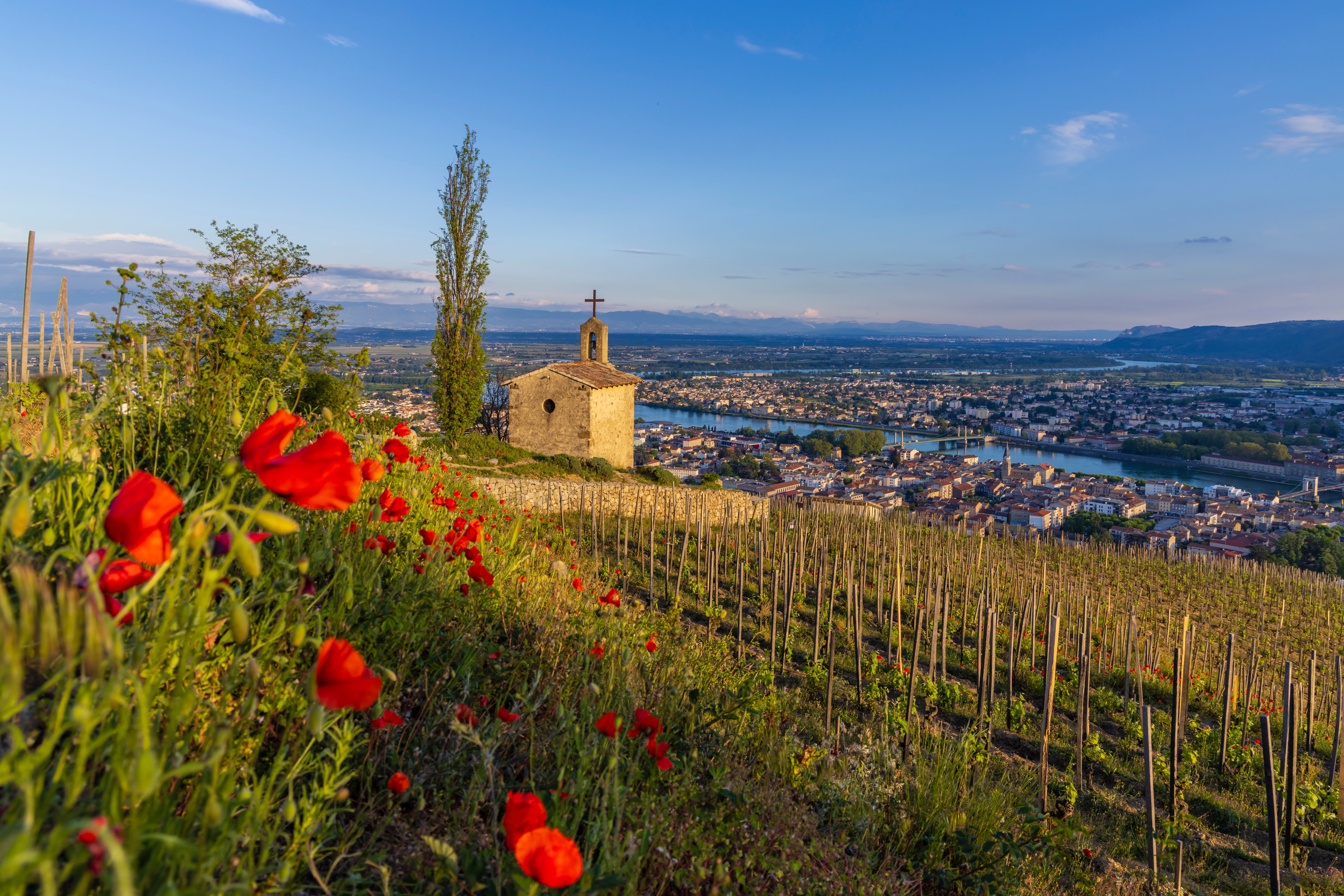Maleriske Grand Cru vinmarker med Saint Christopher kapellet i Tain l'Hermitage, en af højdepunkterne på vores Rhône flodkrydstogt i Sydfrankrig
