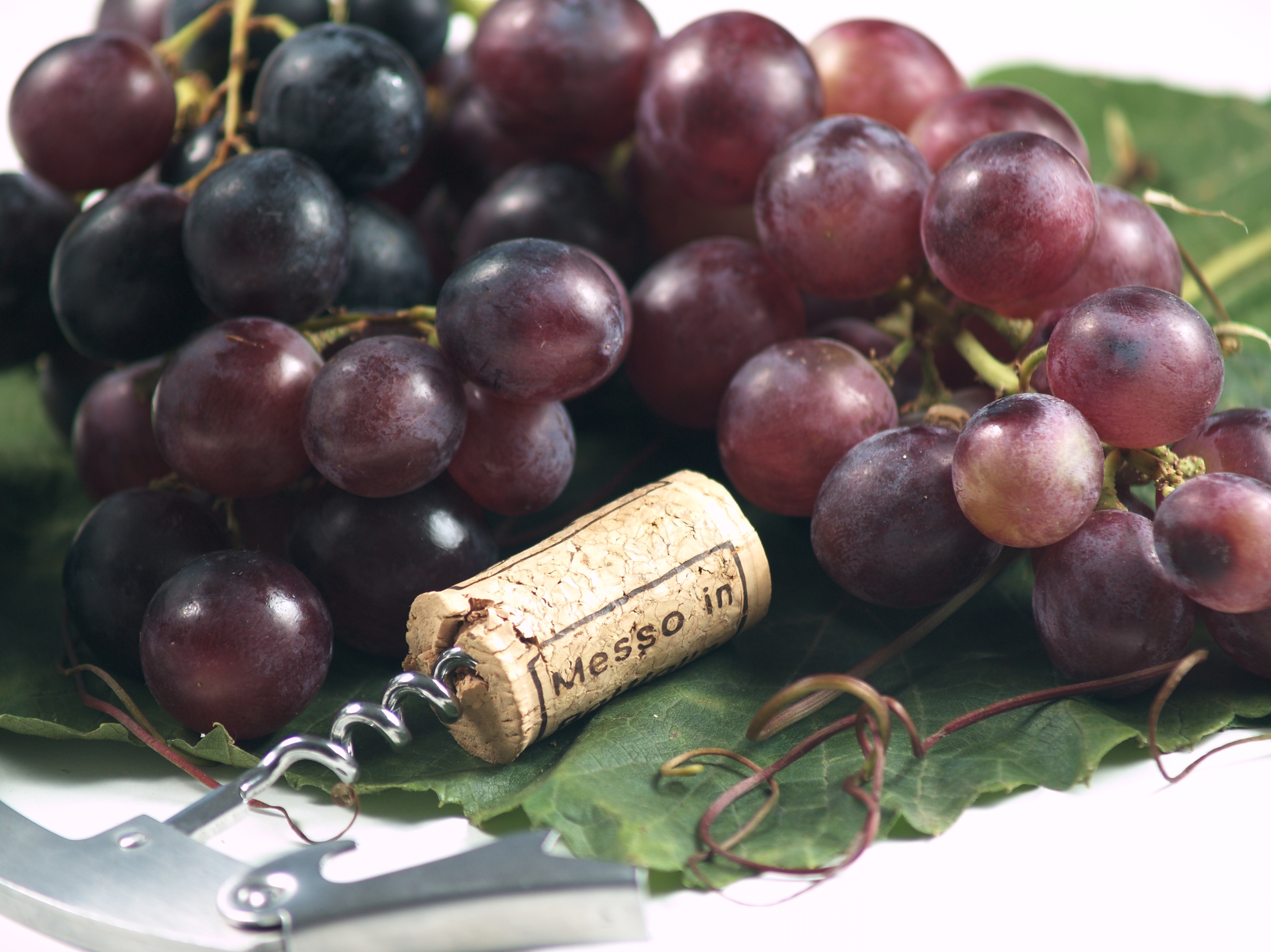 Vin fra vingård med flaske og friske druer, perfekt til vinsmagning på vinrejse