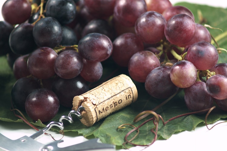 Vin fra vingård med flaske og friske druer, perfekt til vinsmagning på vinrejse