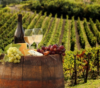 Vinrejse med hvidvinssmagning og ostebord i smukke vingaarde - opdag Europas bedste vinregioner