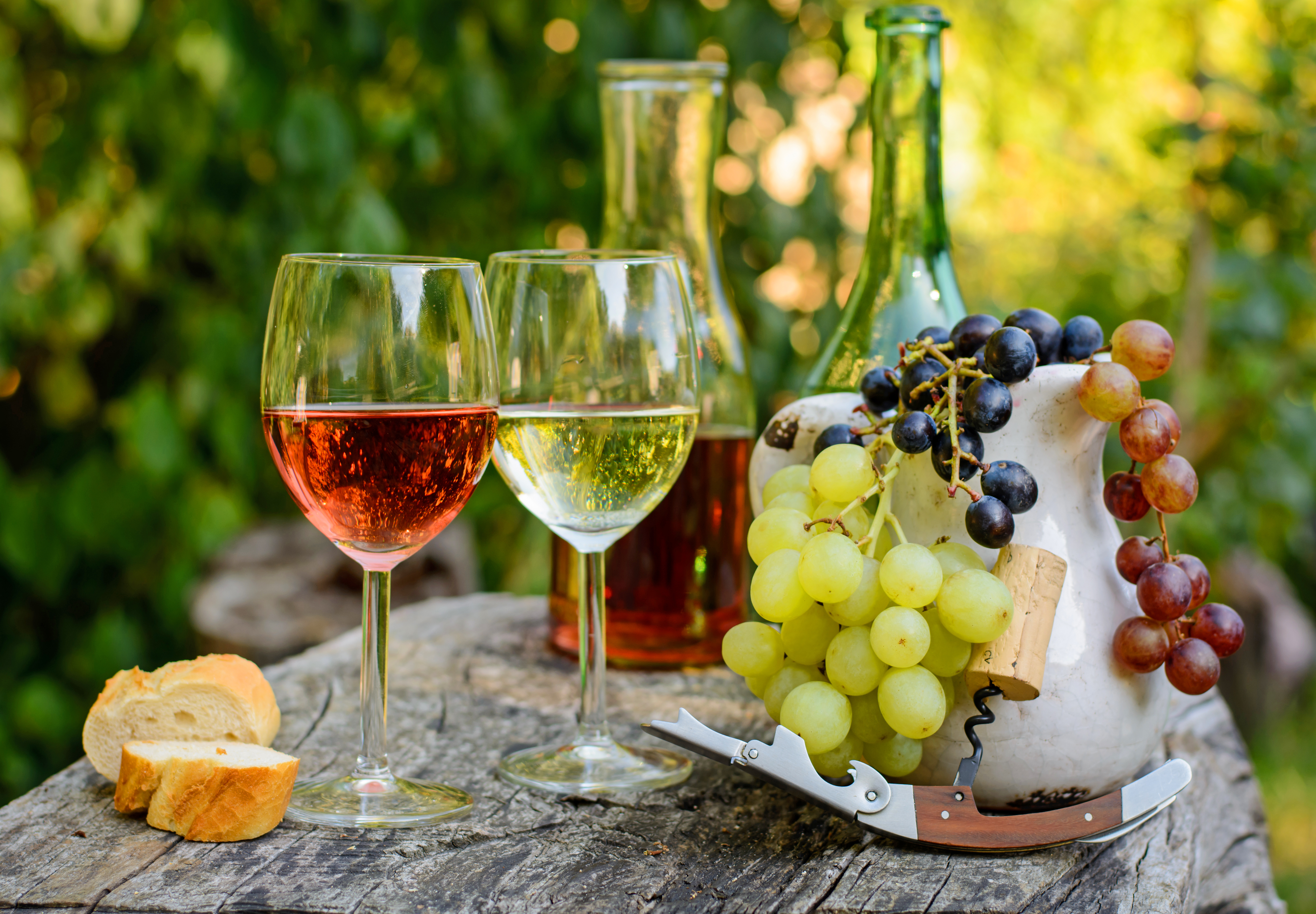 Romantisk udendørs vinsmagning i Toscana med glas rosé og hvidvin, friske druer og rustikt brød på et træbord omgivet af vinranker ved solnedgang