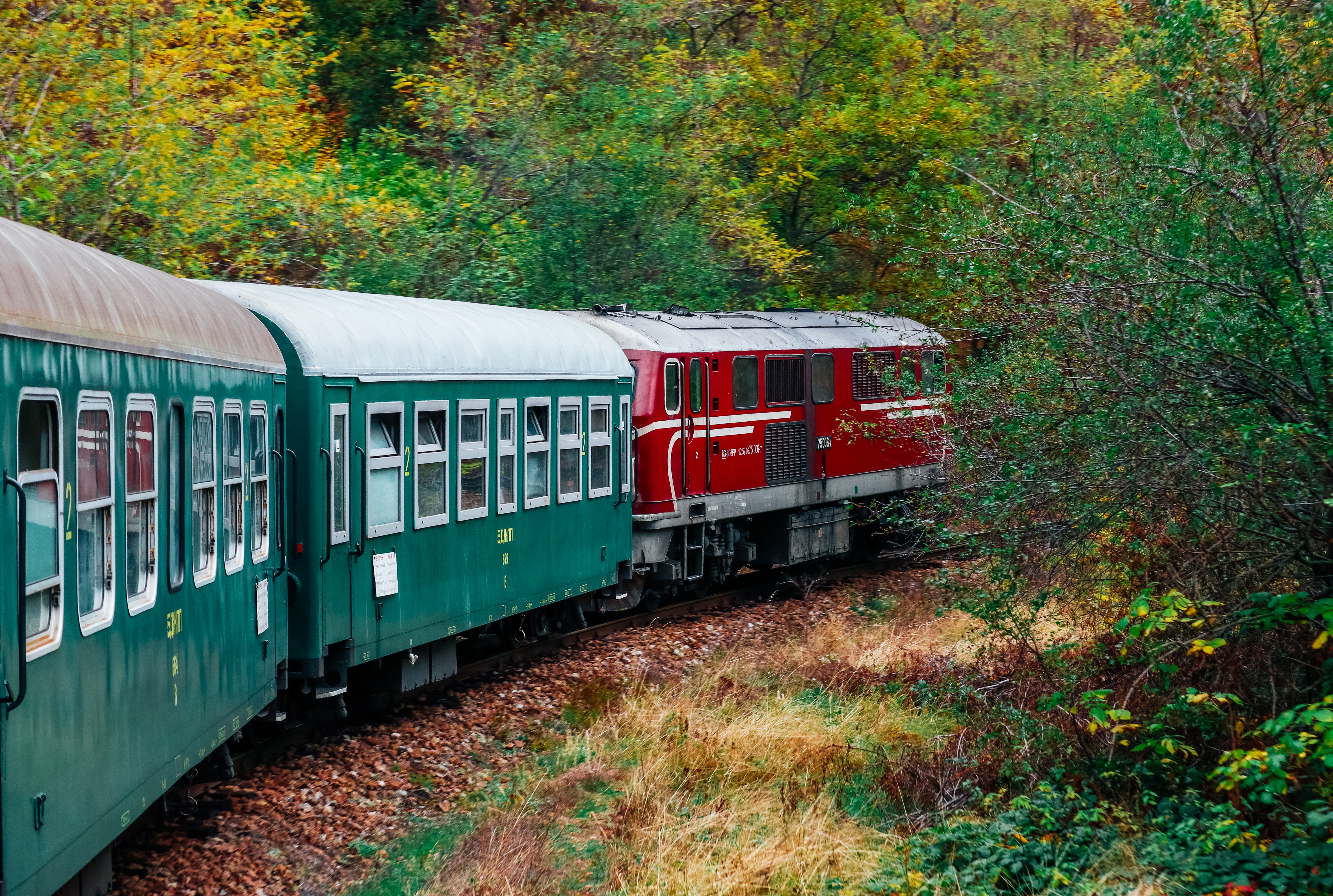Gammelt tog med rødt lokomotiv kører gennem efterårets farveskiftende skov