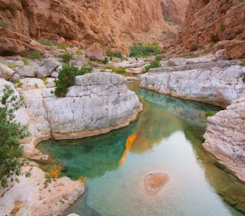 Turkisblå oase ved Wadi Bani Khalid i Oman med klare vandhuller omgivet af majestætiske klipper og palmer