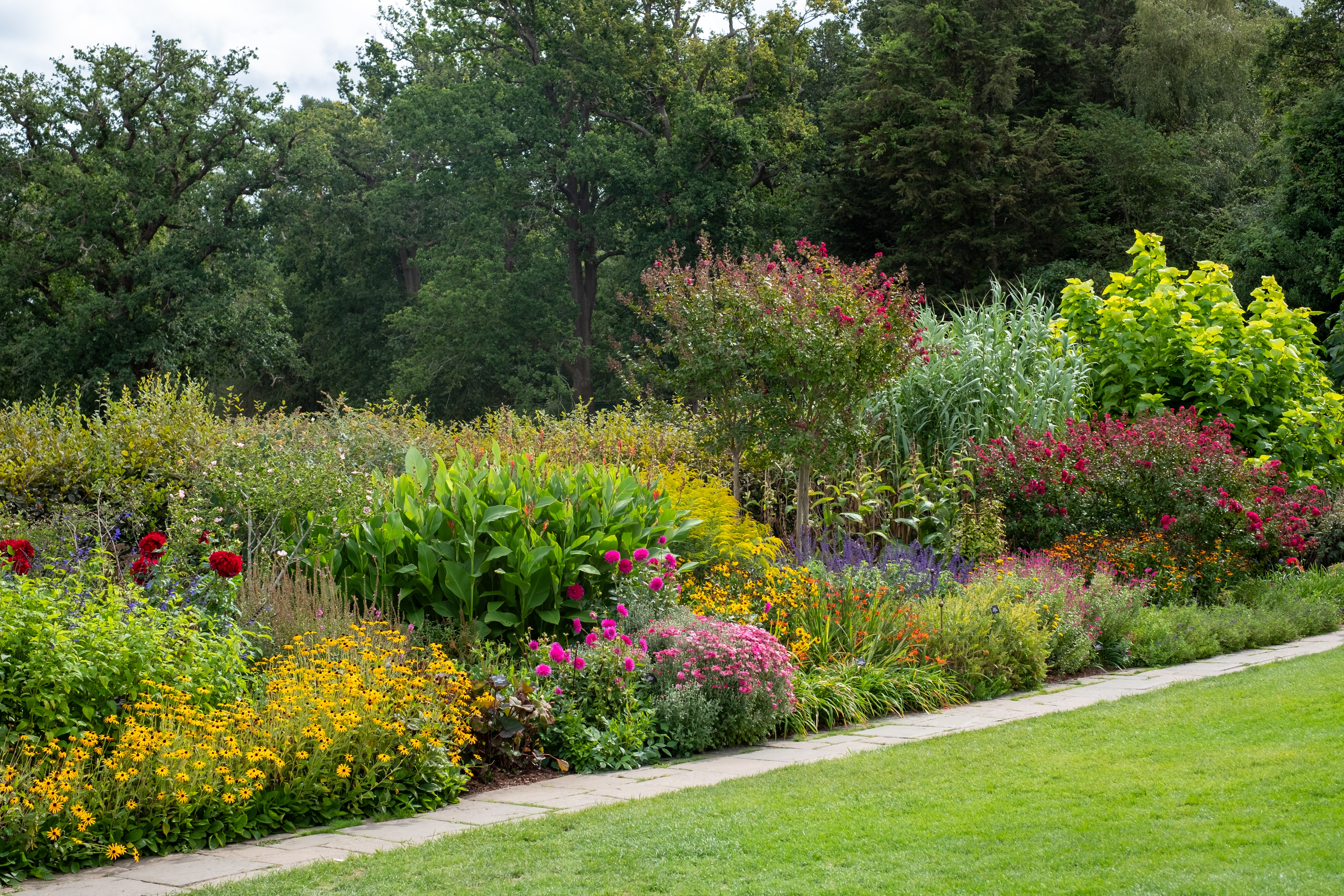 Farverige blomsterbede med stauder i RHS Wisley Garden, Surrey, England om sensommeren