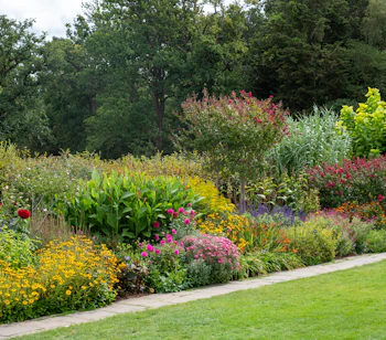 Farverige blomsterbede med stauder i RHS Wisley Garden, Surrey, England om sensommeren