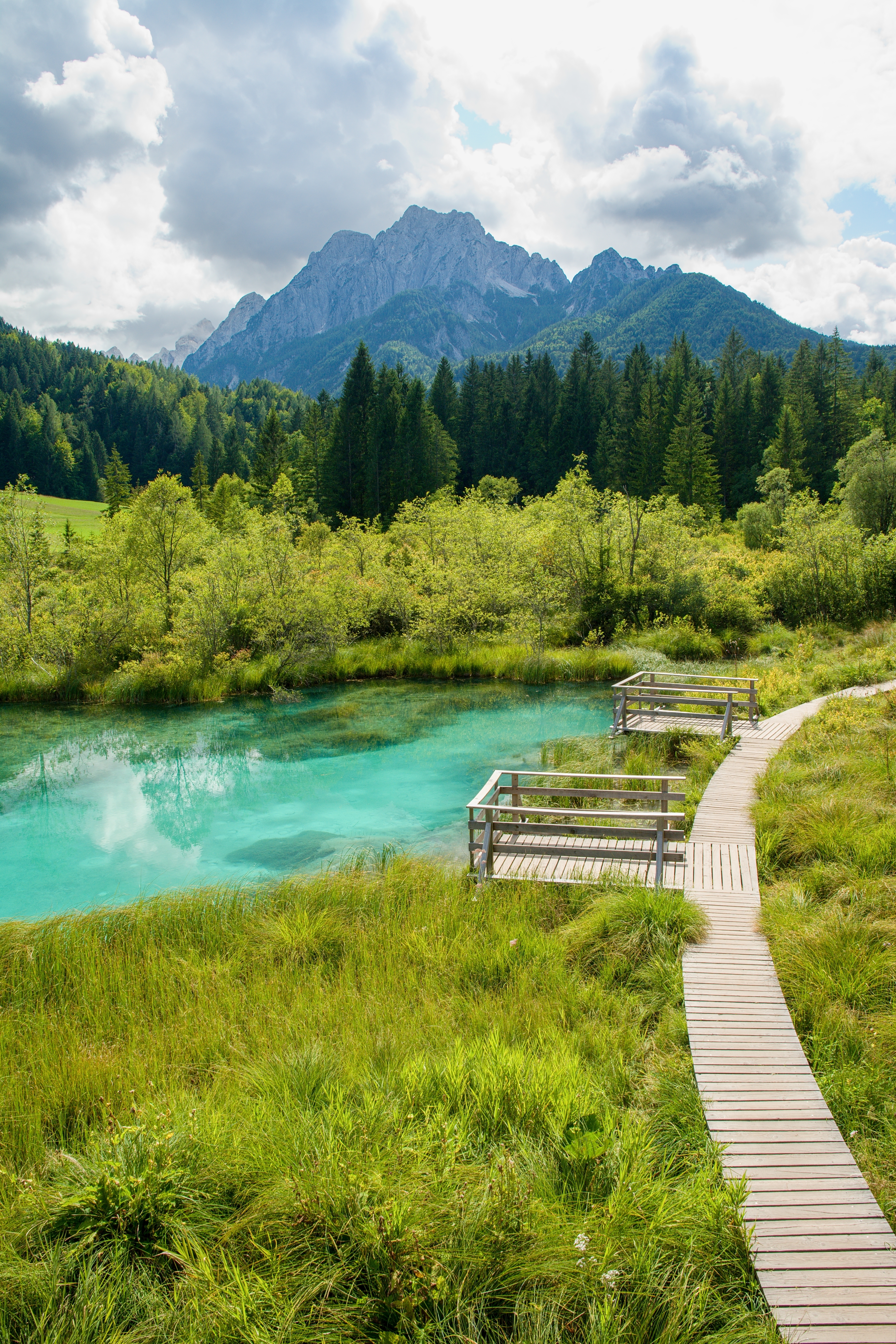 Turkisblå Zelenci sø, kilden til Sava-floden i Slovenien med træbro og majestætiske bjerge i Julian Alperne