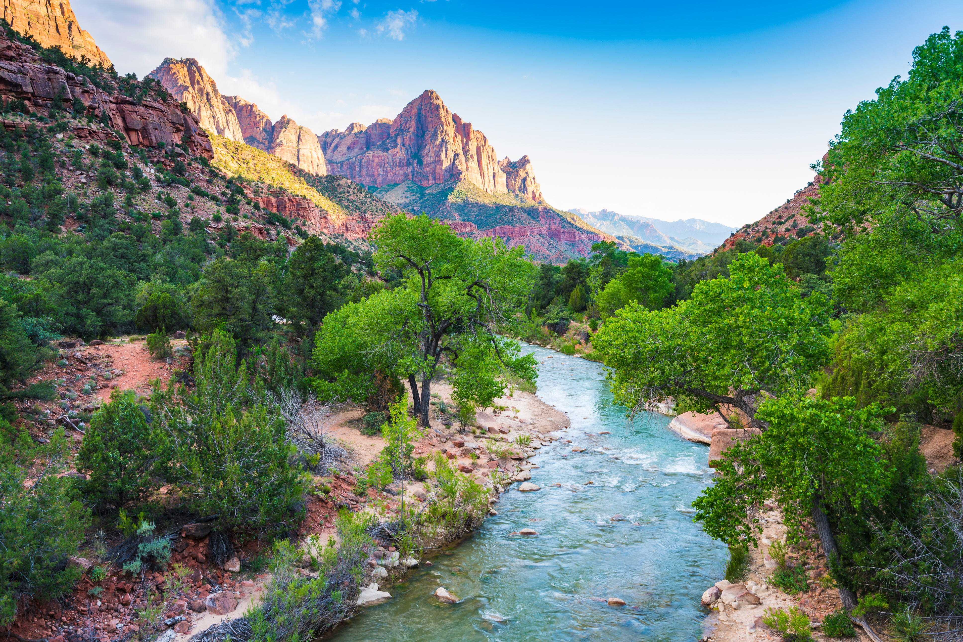 Virgin River der løber gennem Zion National Park canyon med røde sandstensklipper og grønne træer