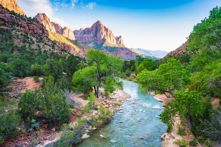 Virgin River der løber gennem Zion National Park canyon med røde sandstensklipper og grønne træer