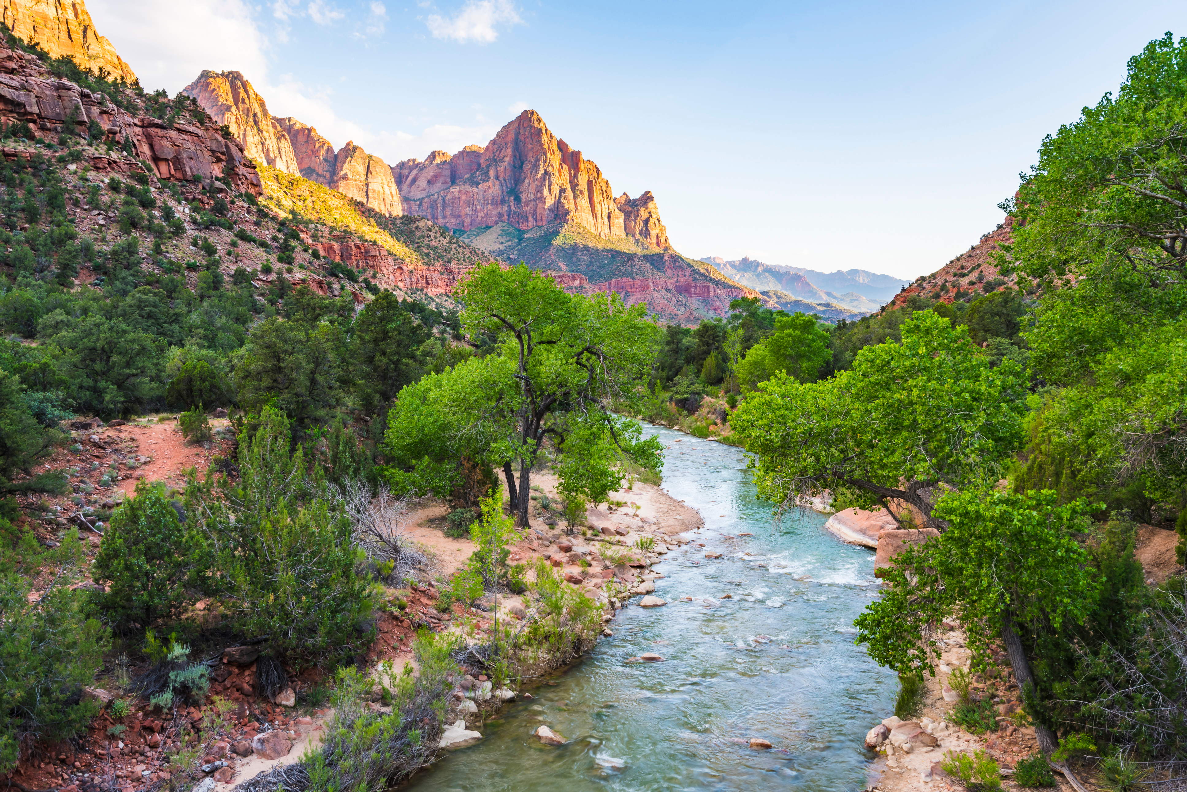 Virgin River løber gennem Zion Canyon med røde sandstensklipperne og grønne træer i Utah